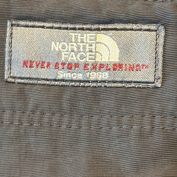 The North Face Gray Cargo Pants - Picture 8 of 9